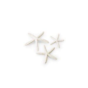 biOrb star fish set 3 white, sjøstjerner