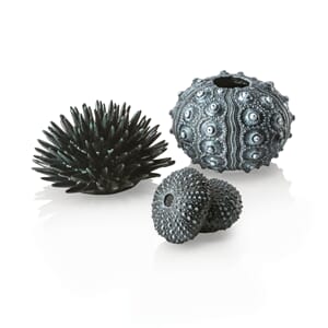 biOrb sea urcins set black