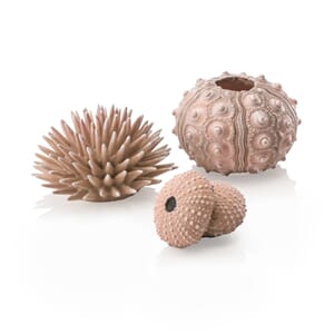 biOrb sea urcins set natural