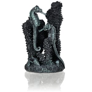 biOrb seahorses on coral black S