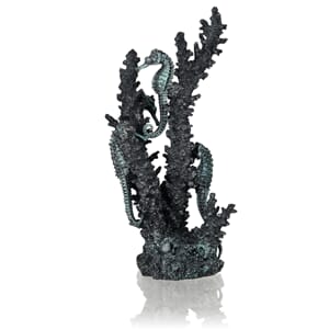 biOrb seahorses on coral black M