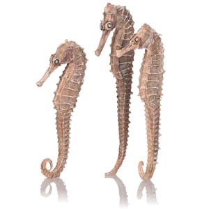 biOrb seahorse 3 pack natural