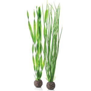 biOrb Easy plant set L green 2 stk