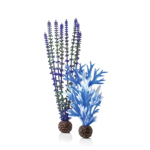 biOrb Plant set M blue & purple
