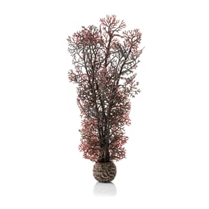 biOrb Sea fan M crimson
