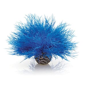 biOrb Aquatic sea lilly blue