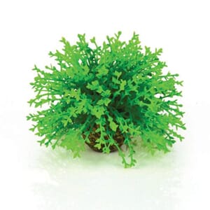 biOrb Flower Ball green