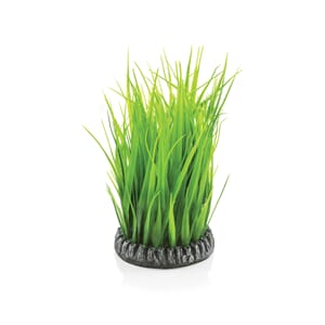 biOrb Grass ring M green