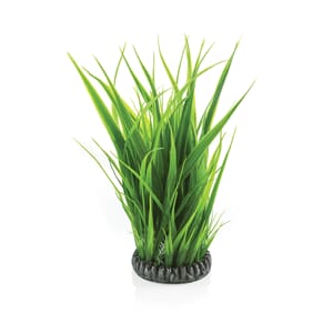 biOrb Grass ring L green