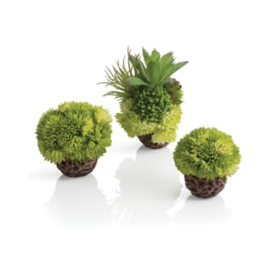 biOrb coral ball set green, 3 stk