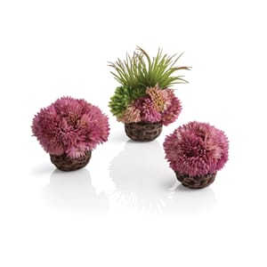 biOrb Coral ball purple set 3 stk