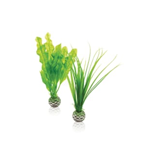 biOrp Easy plant set S green, plastplante