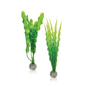 biOrb Easy plant set M green, plastplante