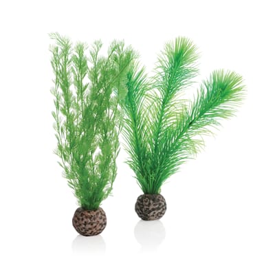 12OA46083 FOT_PRD_FREI_FR_46083-biOrb-Federfarn-Set-klein-Gruen-002_1.jpeg