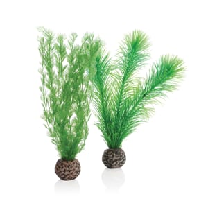 biOrb Feather fern set S green