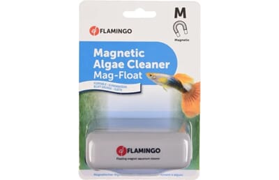 13FL401921 401921_V_01_1.jpg