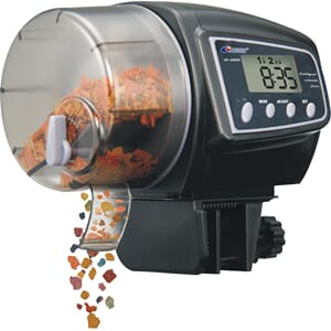 Forautomat akvarim, Flamingo