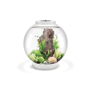 biOrb Classic 60Led white