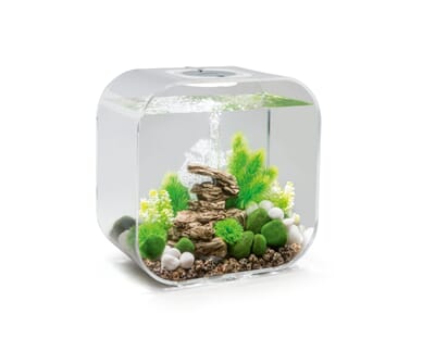 15OA72053 FOT_PRD_FREI_FRLI_45846-biOrb-LIFE-30MCR-Transparent-001_1.jpg