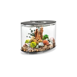 biOrp LOOP 15 LED Black akvarium