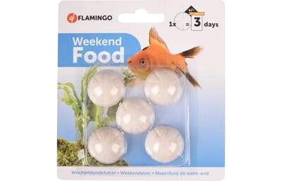 10FL400066 400066_V_01.jpg