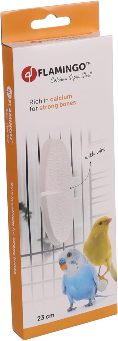 41FL110451 110451_V_01.jpg