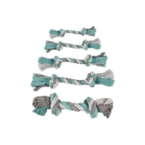 Hund Tau og bånd leker