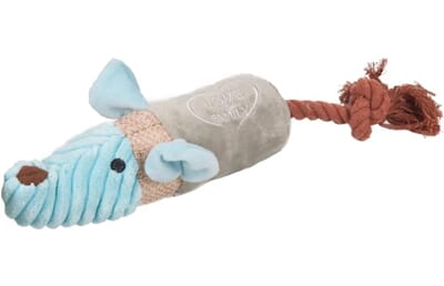 62FL519499 515999_E_01.jpg