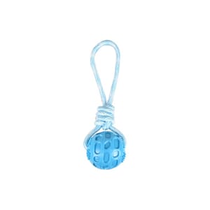 TPR Rudo ball with rope blue 25,5cm