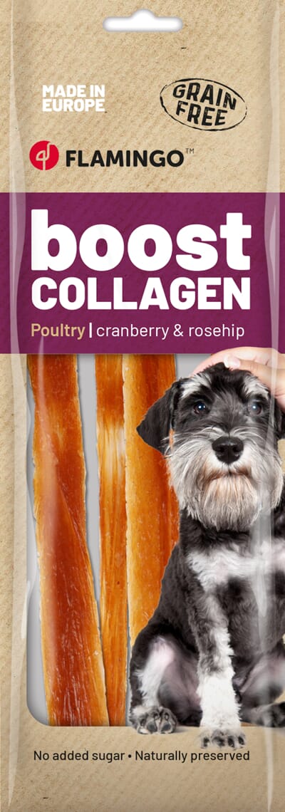 61FL523111 523111_V_01.jpg