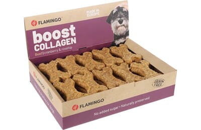 61FL523119 523119_V_02_1.jpg