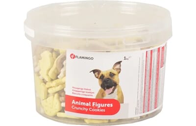 61FL513249 513249_V_01_1.jpg