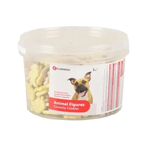 Hunde godt, snacks og kjeks