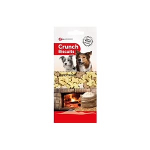 Biscuits Crunch Puppy Treats 500g