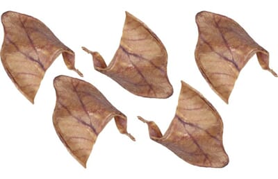 61FL502615 502615_E_01.jpg