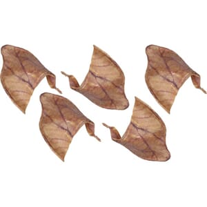 Nature Pig ears 5 stk