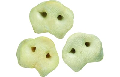 61FL502634 502634_E_01.jpg