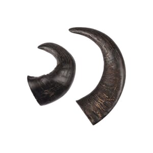 Nature snack horn Medium 2pk M