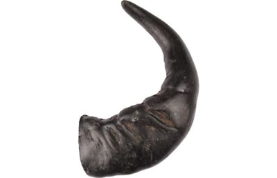 61FL519624 519624_E_01.jpg