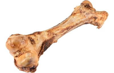 61FL519629 519629_D_01.jpg