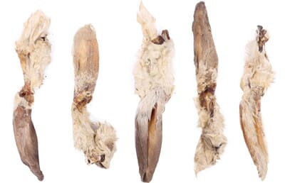 61FL521132 521132_E_01.jpg