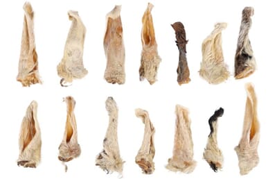 61FL521221 521221_E_01.jpg