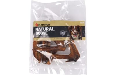 61FL522804 522804_V_01_1.jpg