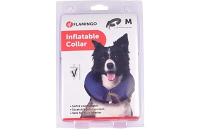 64FL513237 513237_V_01.jpg