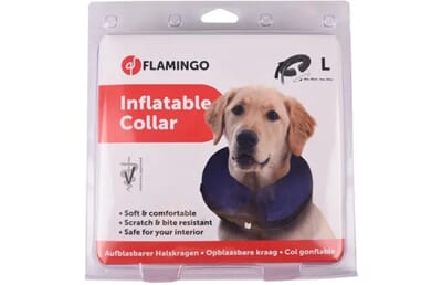 64FL513238 513238_V_01.jpg