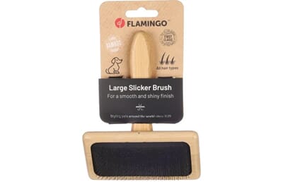 64FL522389 522389_V_01_1.jpg