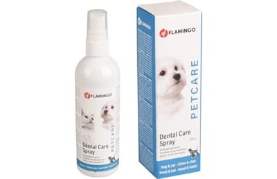 64FL510954 510954_D_02.jpg