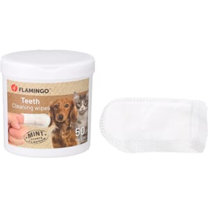 Tann Wipes Reini Finger mint 50stk