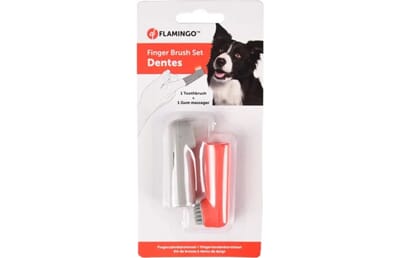 64FL5312083 5312083_V_01_1.jpg