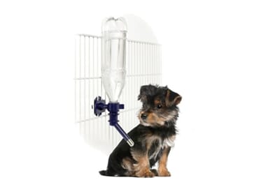 69FL44045 44045_D_02.jpg